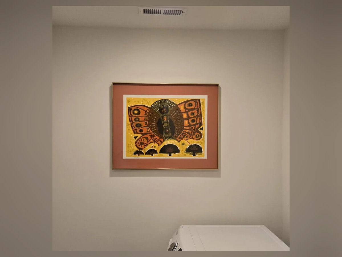 Colorful framed butterfly print hung on a wall